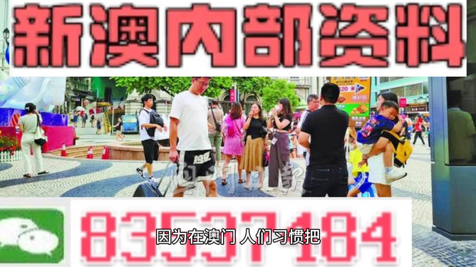 2024年新澳精准资料免费提供网站,批判解答解释落实_自选版69.5.66