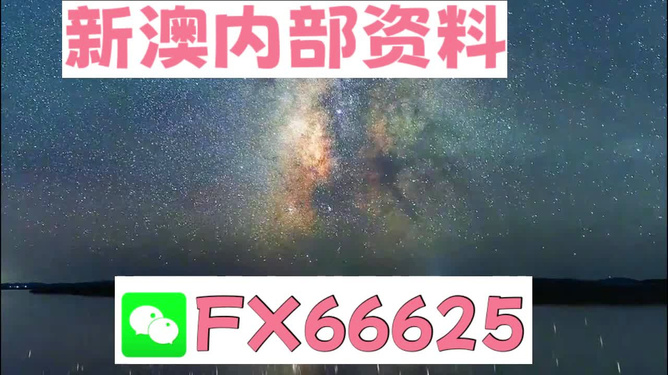 新澳门天天彩2024年全年资料,角色解答解释落实_编程版25.90.40